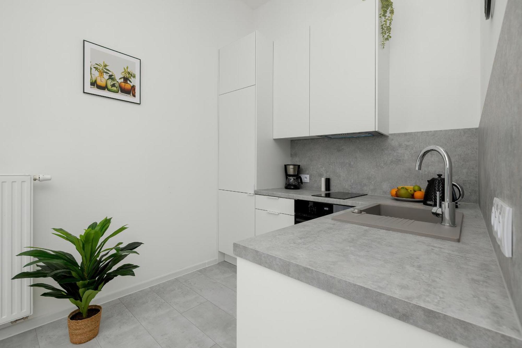 Beautiful In By Renters Apartment *